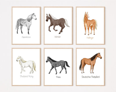 Set Pferde Bilder Kinderposter